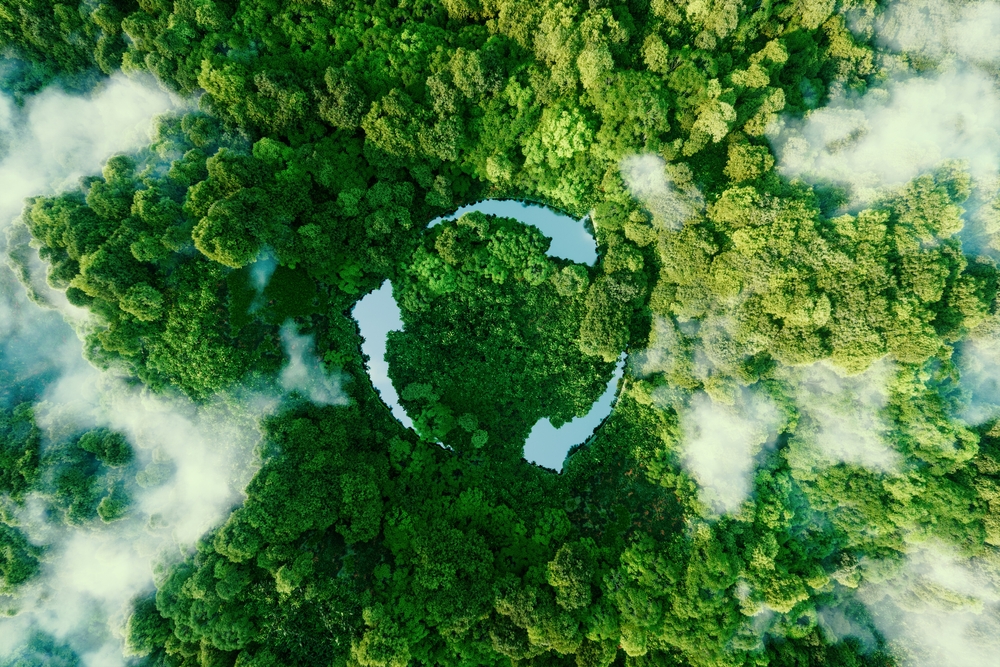 Aerial view of a forest with a winding river